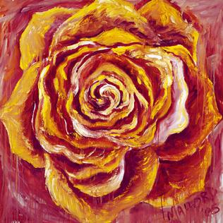 liquid rose paintings lauri matisse