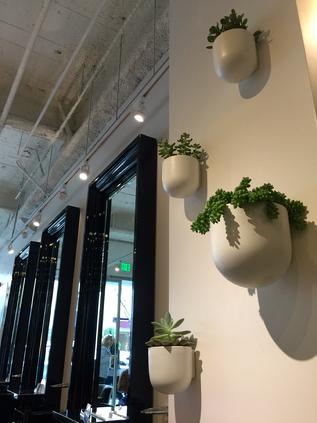 salon design beverly hills lauri matisse