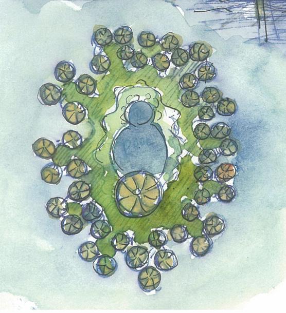Resort Design Dubai Brazil Rain Forest Pods