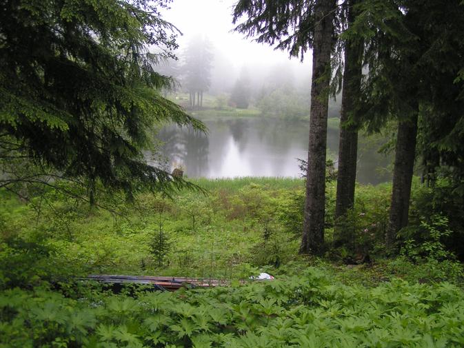 Lake Dawn Architect lauri matisse vacation homes